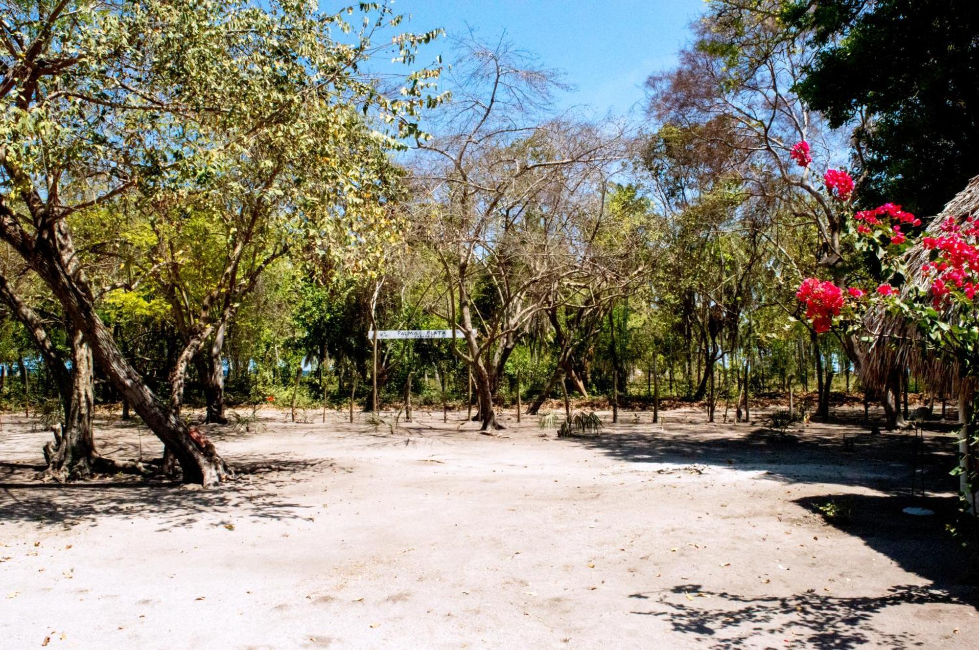 Palma Plata Islas Del Rosario Isla Grande  Bagian luar foto